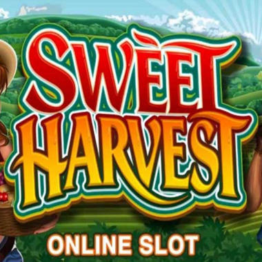 sweet harvest